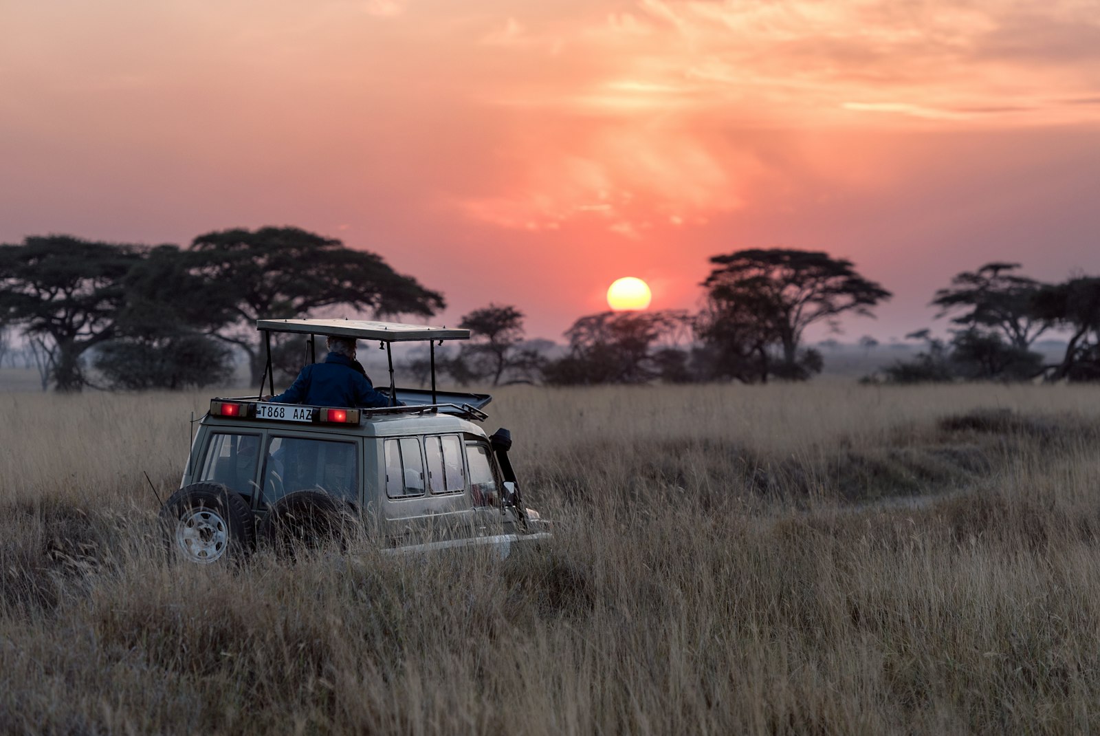 Masai Mara savanna at dawn